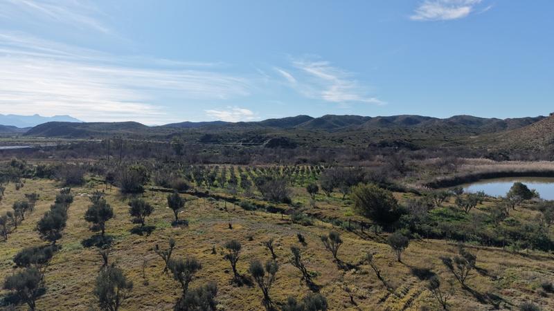 0 Bedroom Property for Sale in Ladismith Western Cape